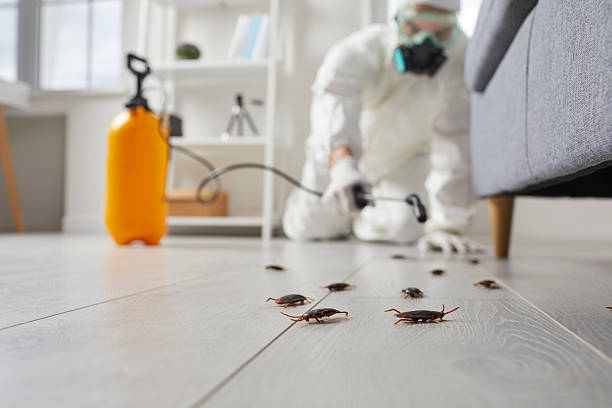 Commercial Kitchen Cockroach Control in Ruckersville